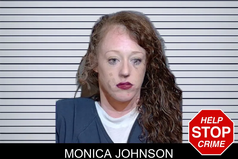 Monica Johnson mugshot