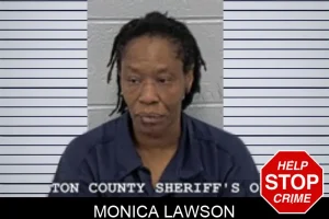 Monica Lawson mugshot