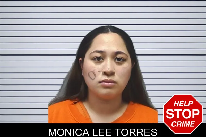Monica Lee Torres mugshot