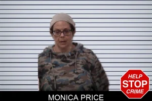 Monica Price mugshot