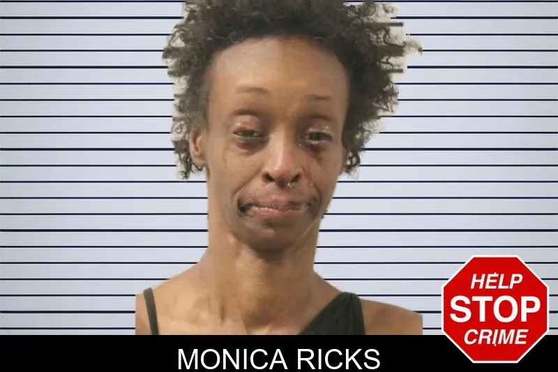 Monica Ricks mugshot