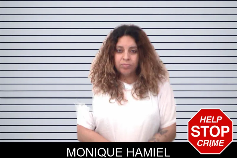 Monique Hamiel mugshot