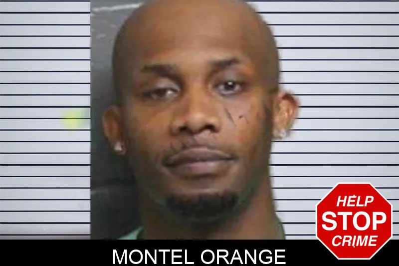 Montel Orange mugshot – Bacon County , Georgia Montel Orange mugshot