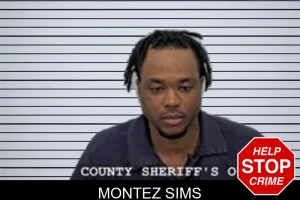 Montez Sims mugshot