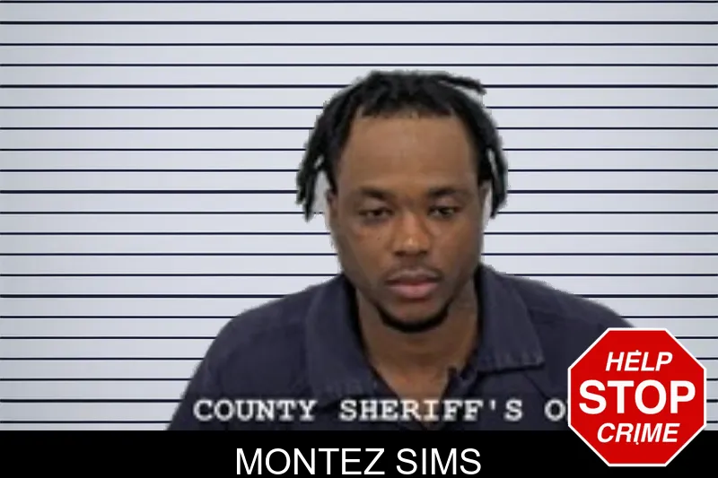 Montez Sims mugshot
