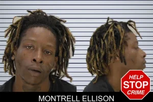 Montrell Ellison mugshot