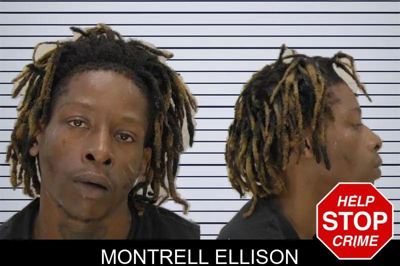 Montrell Ellison mugshot