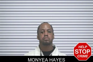 Monyea Hayes mugshot