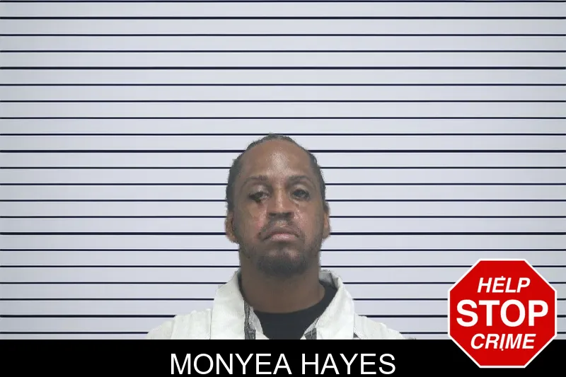 Monyea Hayes mugshot