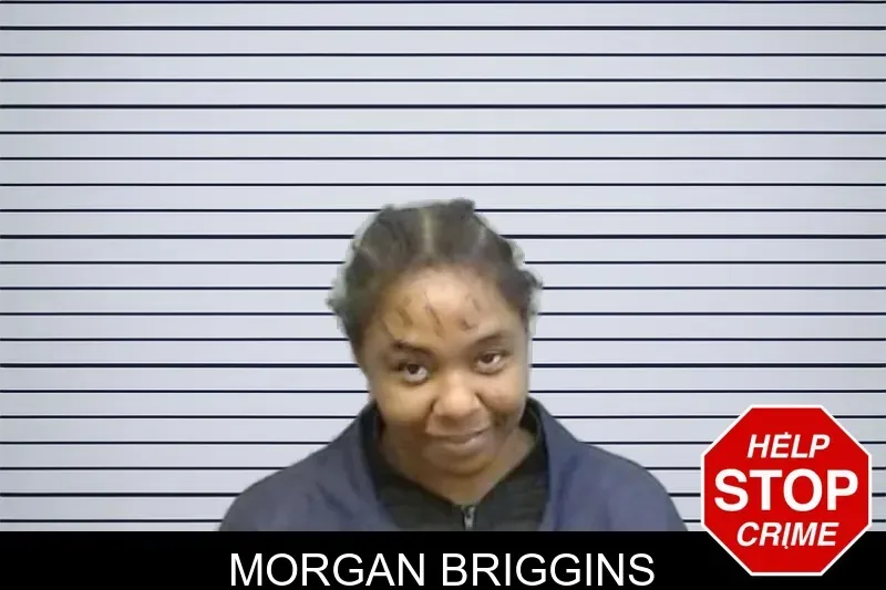 Morgan Briggins mugshot