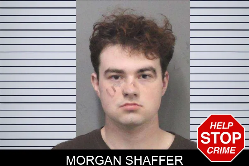 Morgan Shaffer mugshot – White County , Georgia Morgan Shaffer mugshot
