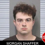 Morgan Shaffer mugshot – White County , Georgia Morgan Shaffer mugshot