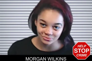Morgan Wilkins mugshot