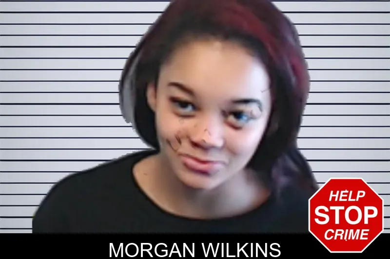 Morgan Wilkins mugshot