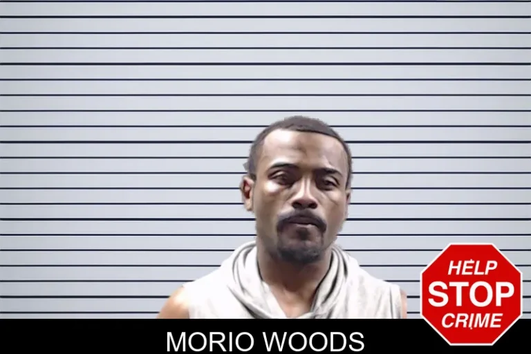 Morio Woods