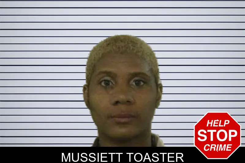 Mussiett Toaster mugshot – Liberty County , Georgia Mussiett Toaster mugshot