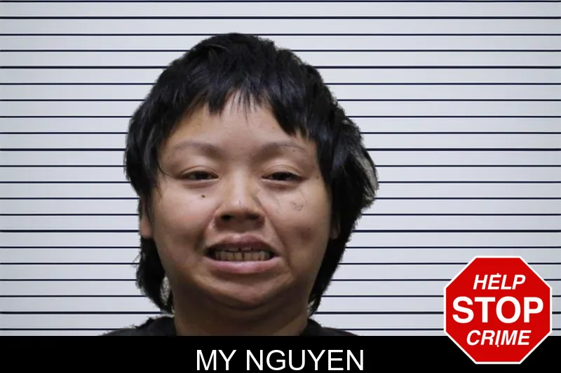 My Nguyen mugshot
