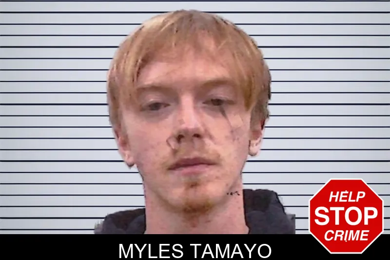 Myles Tamayo mugshot