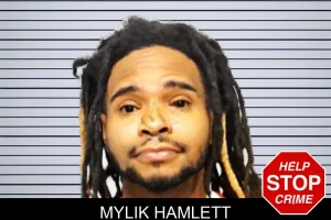 Mylik Hamlett mugshot