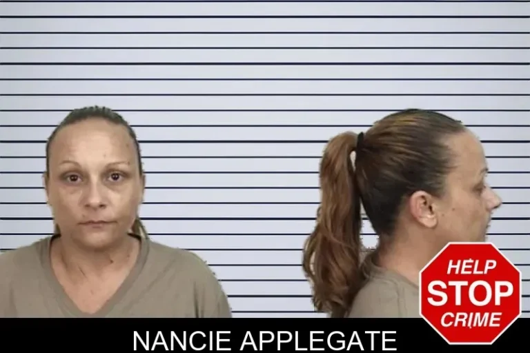 Nancie Applegate mugshot – Camden County , Georgia Nancie Applegate