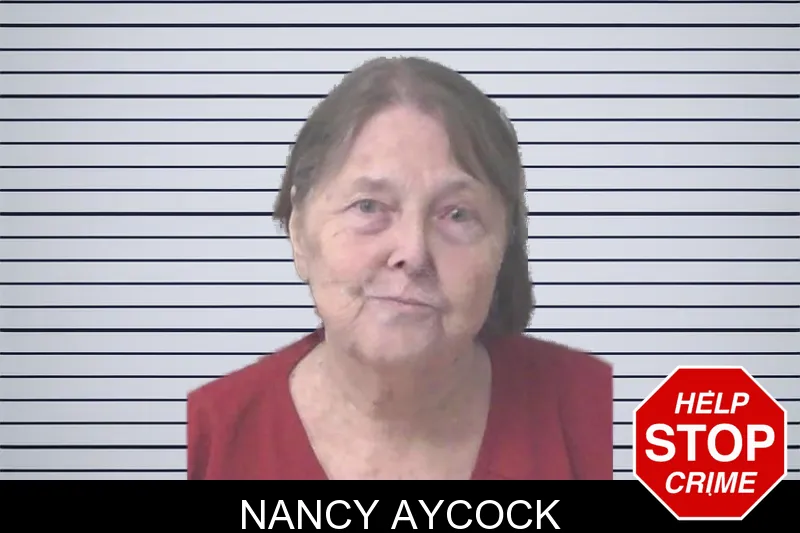 Nancy Aycock mugshot