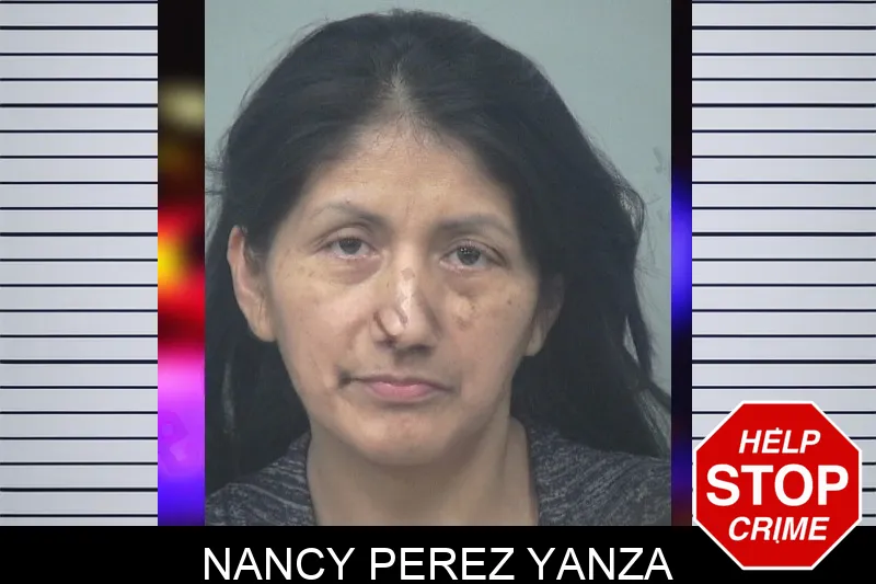Nancy Perez Yanza mugshot