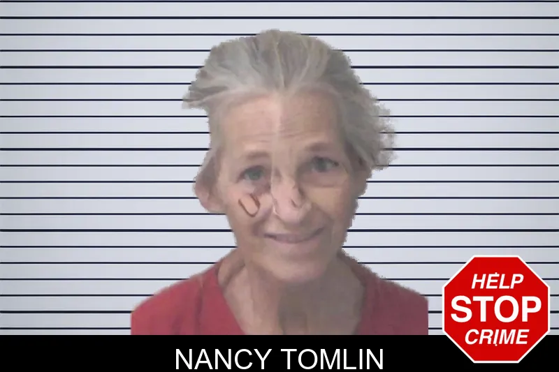 Nancy Tomlin mugshot – Newton County , Georgia Nancy Tomlin mugshot