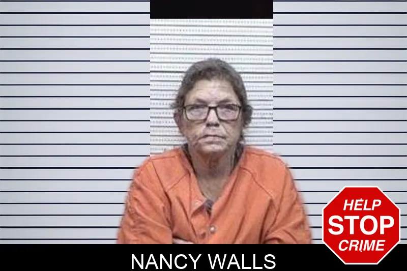 Nancy Walls mugshot – Tattnall County , Georgia Nancy Walls mugshot
