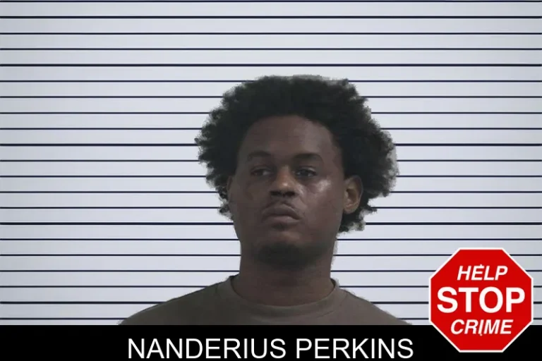 Nanderius Perkins mugshot – McDuffie County , Georgia Nanderius Perkins