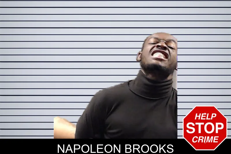 Napoleon Brooks mugshot