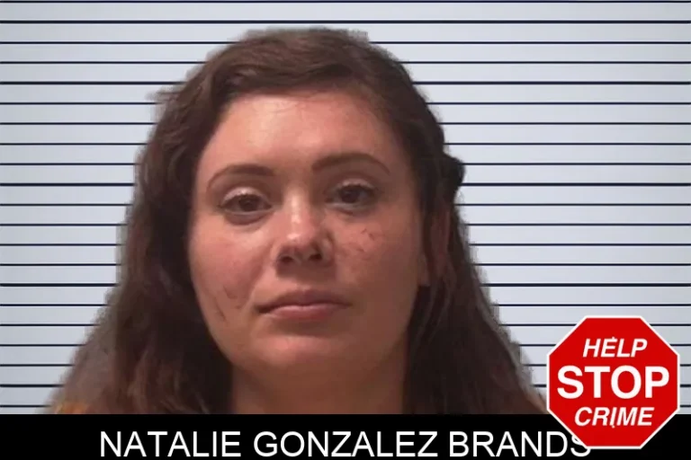 Natalie Gonzalez Brands mugshot – Franklin County , Georgia Natalie Gonzalez Brands