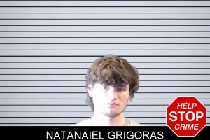 Natanaiel Grigoras mugshot