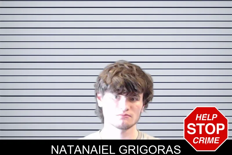 Natanaiel Grigoras mugshot