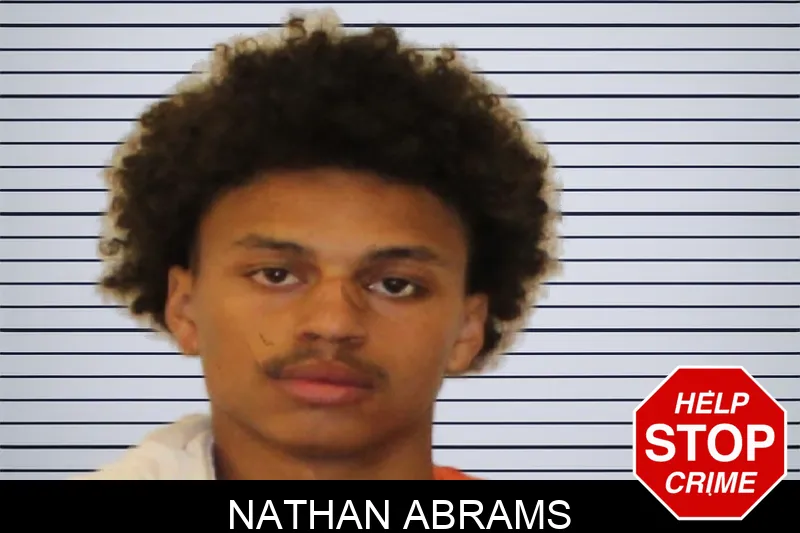 Nathan Abrams mugshot