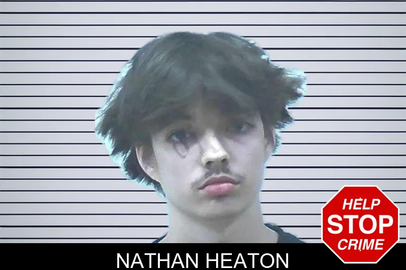 Nathan Heaton mugshot