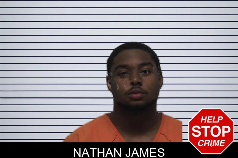 Nathan James mugshot