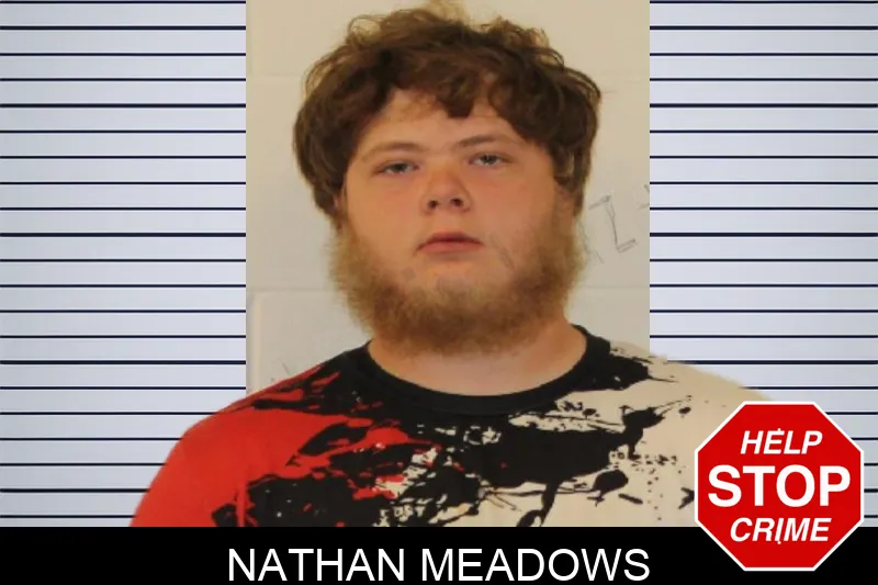 Nathan Meadows mugshot