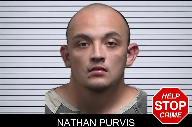 Nathan Purvis mugshot