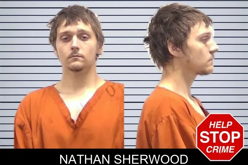 Nathan Sherwood mugshot