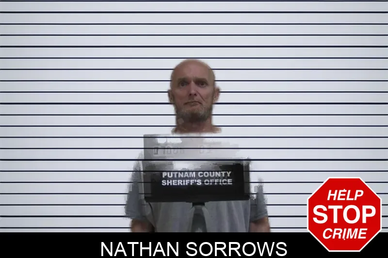 Nathan Sorrows mugshot