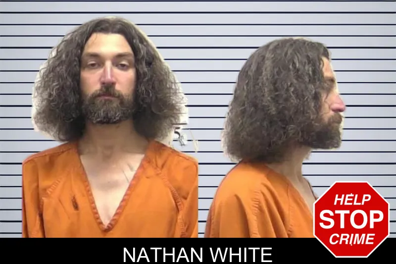 Nathan White mugshot