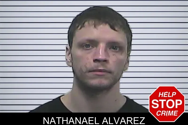 Nathanael Alvarez mugshot