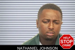 Nathaniel Johnson mugshot