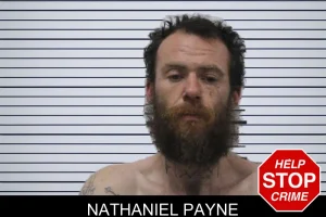 Nathaniel Payne mugshot
