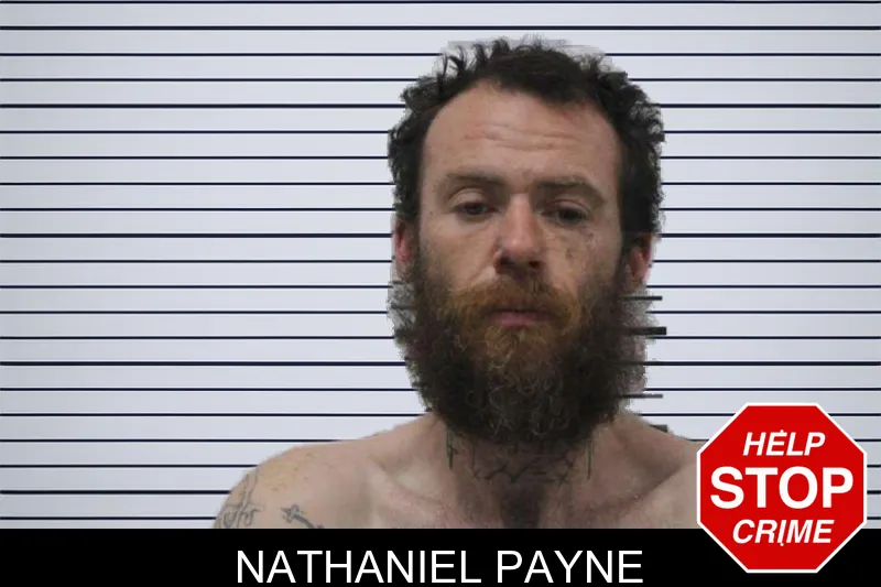 Nathaniel Payne mugshot