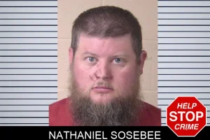 Nathaniel Sosebee mugshot