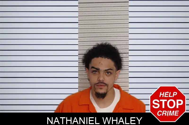 Nathaniel Whaley mugshot