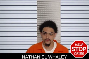 Nathaniel Whaley mugshot