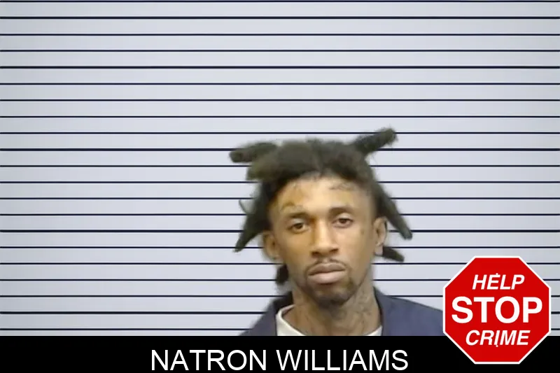 Natron Williams mugshot