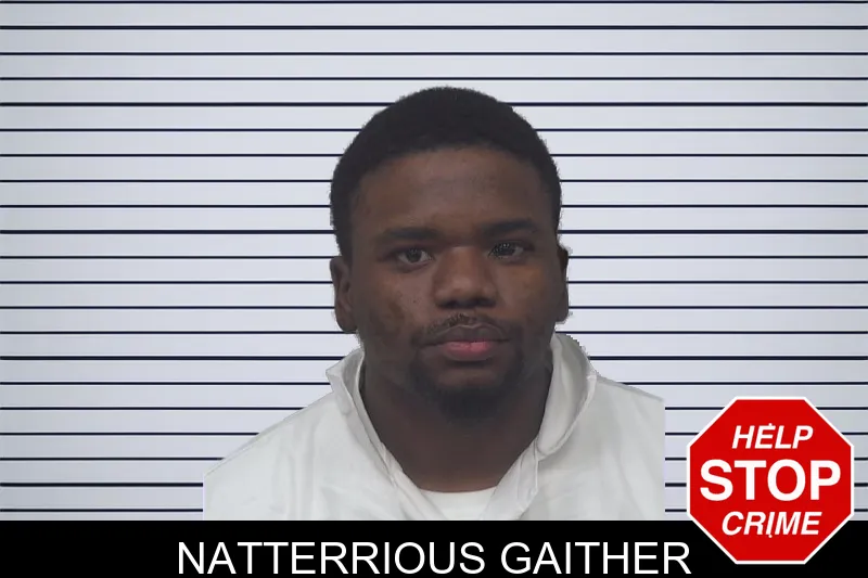 Natterrious Gaither mugshot